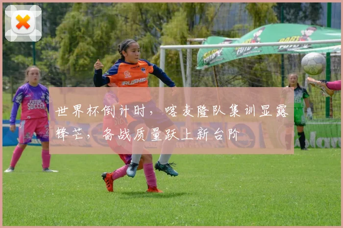 世界杯倒计时，喀麦隆队集训显露锋芒，备战质量跃上新台阶