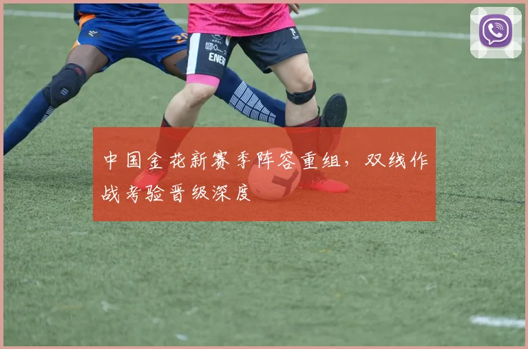 中国金花新赛季阵容重组，双线作战考验晋级深度