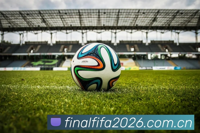 2026世界杯 App 界面展示